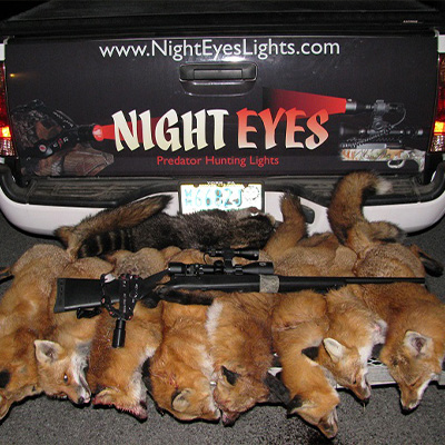 Night Eyes Lights